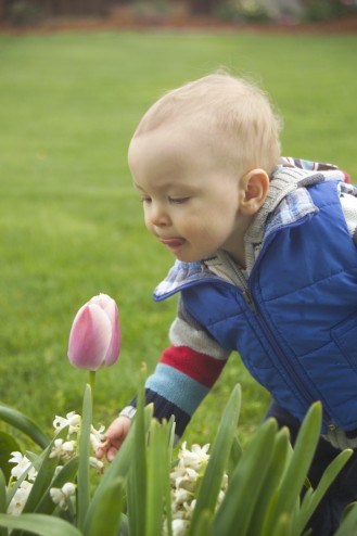 "mmmm, smell nice" says the boy to the flower